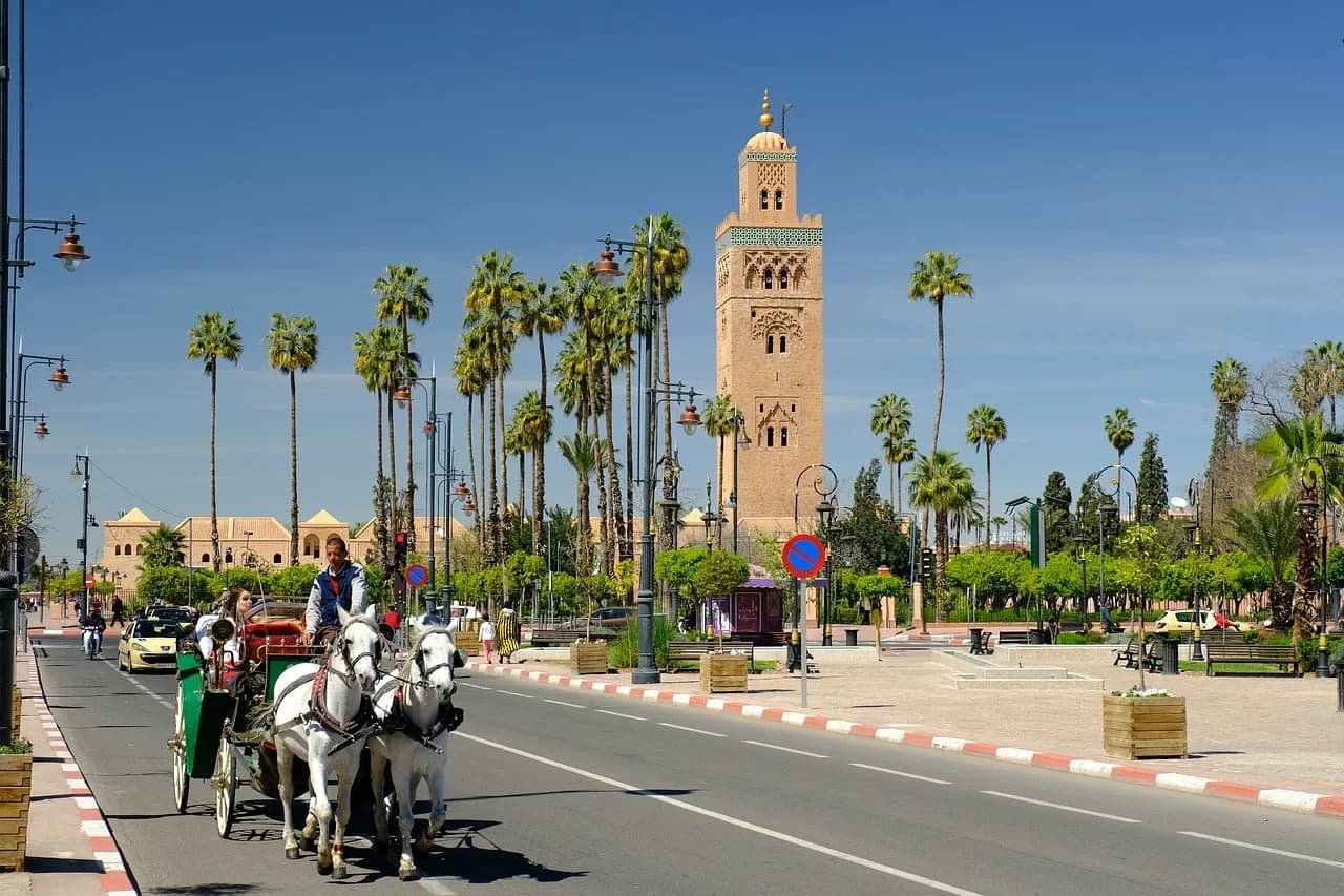 Marrakech — the Koutoubia minaret rising above palm trees at golden hour