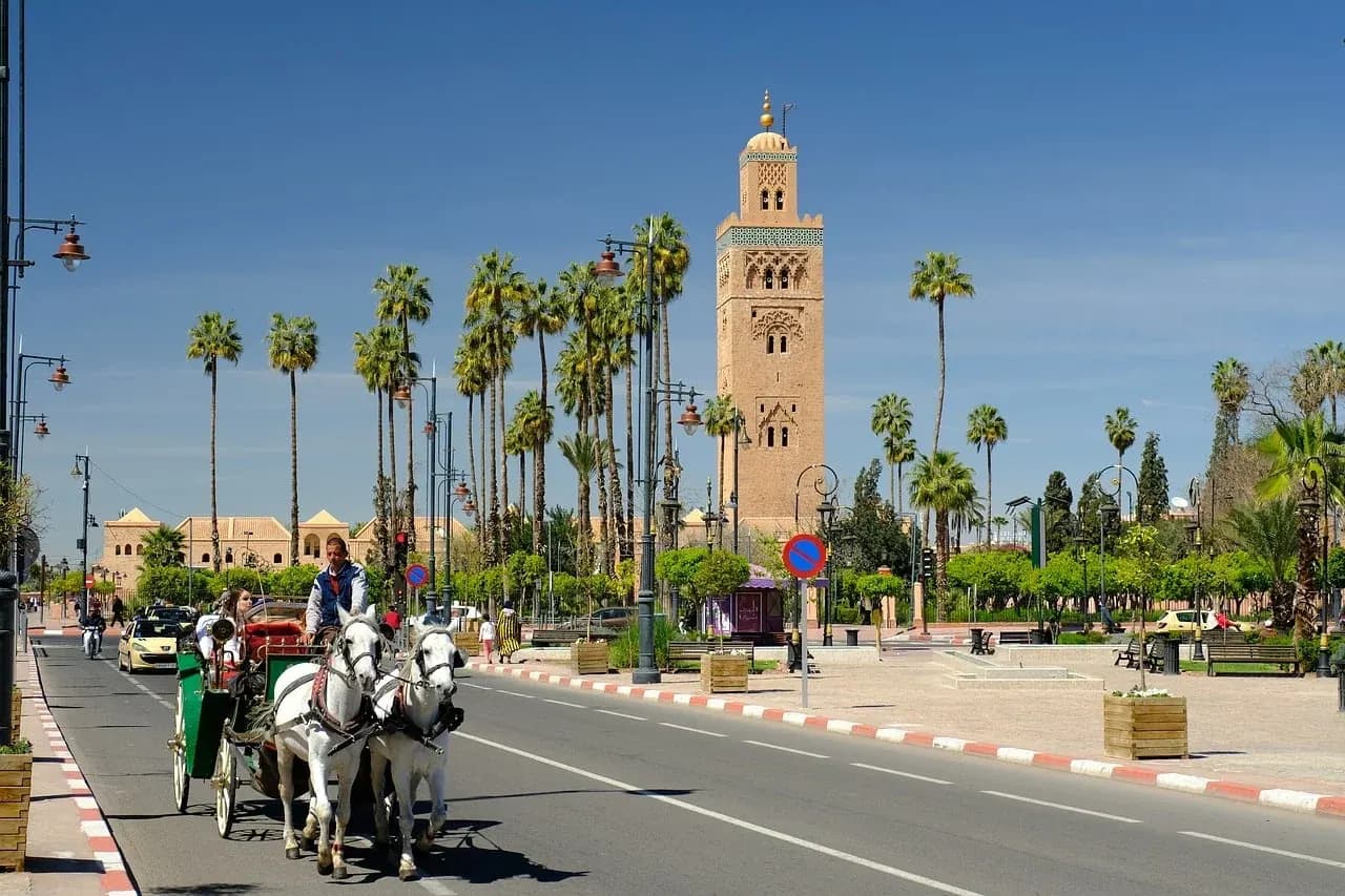 Marrakesh — Mosquée Koutoubia · the Koutoubia minaret rising above palm trees at golden hour